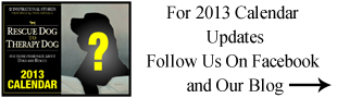 2013 Rescue Dog Calendars Available Soon