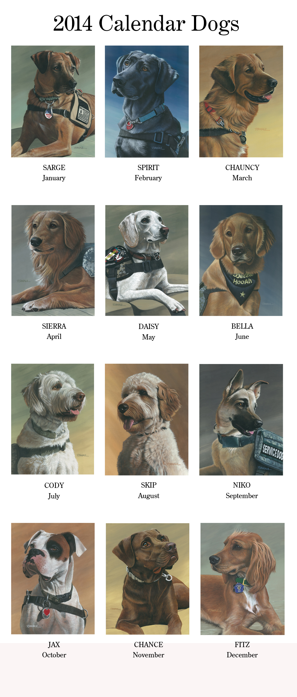 2014 Rescued Heroes Veterans Edition Pictures