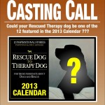 Casting Call - 2013 Rescue Dog to Therapy Dog Calendar