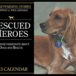 Rescued Heroes 2013 Calendar